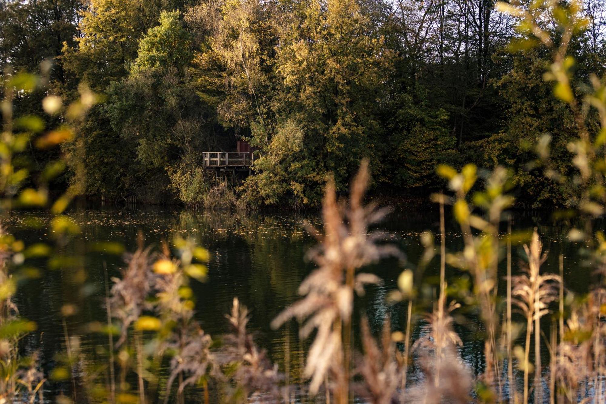 B&B Ginnekenshoeve Beerse Zewnętrze zdjęcie